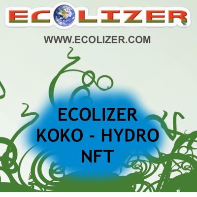 Kokos, Hydro, NFT