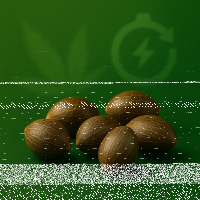 Automatisierte Seeds