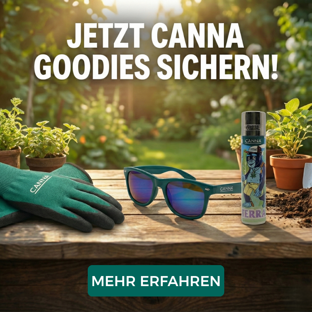 Werbebanner mit der Überschrift „Jetzt CANNA Goodies sichern!“: CANNA Gartenhandschuhe, CANNA Sonnenbrille und Clipper „Terra“-Feuerzeug auf einem Holztisch im Garten; unten Button „Mehr erfahren“.