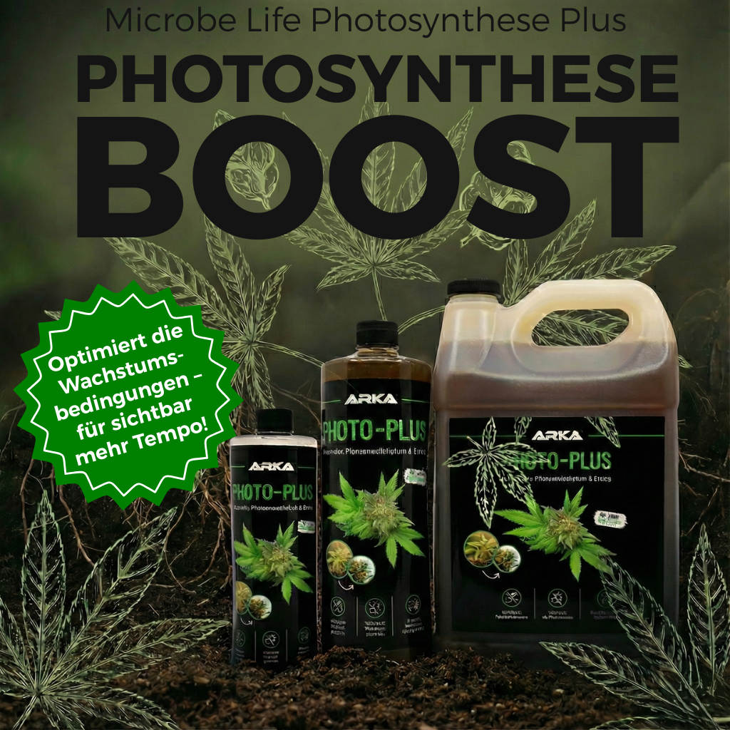 ChatGPT:Werbegrafik für „Microbe Life Photosynthese Plus“ mit großer Überschrift „PHOTOSYNTHESE BOOST“, drei ARKA PHOTO-PLUS Düngerflaschen/Kanister vor Cannabisblättern und Erde; grünes Siegel: „Optimiert die Wachstumsbedingungen – für sichtbar mehr Tempo!“.