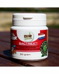 BioTabs Bactrex 250g