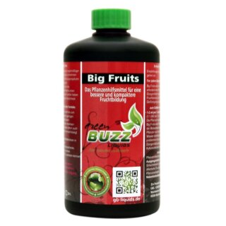GBN - Big Fruits 500ml