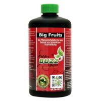 GBN - Big Fruits 500ml