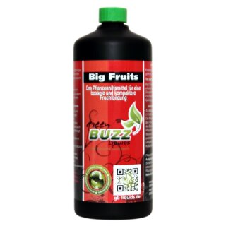 GBN - Big Fruits 1000ml