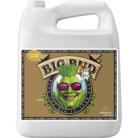 Advanced Nutrients - Big Bud Coco Liquid 4L