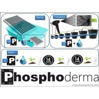 Buschmann Phosphoderma Flower Only | Bio Trichoderma & P-Booster