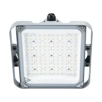 Perfand LED HORTI 2 SQ CB (100 W / 20 W)