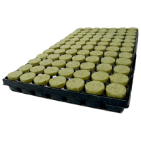 Agra-Wool Basic 84 Plugs 38/40mm Anzucht-Tray (11st/Karton)