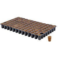 Eazy Plug Stecklingstrays 104 C rund groß