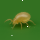Amblyseius Californicus (Raubmilben)  lose 1000Stk. 200m² gegen Spinnmilben, Thripse