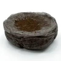 Jiffy Quelltopf 1Stk